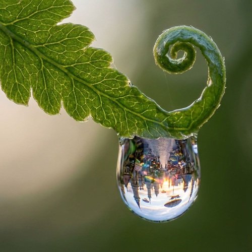 AI Image: Tiny Magical World in a Dewdrop